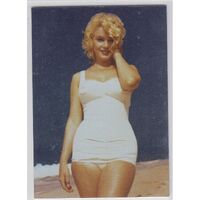 Breygent Marilyn Monroe Swimsuit Fun SINGLE CARD MS6 Trading Card - Foil Nice