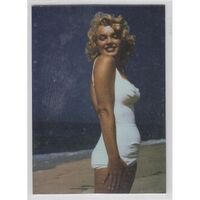 Breygent Marilyn Monroe Swimsuit Fun SINGLE CARD MS2 Trading Card - Foil Nice