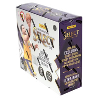 Panini NBA 2024/25 Select Basketball Cards International Hobby Trading Cards